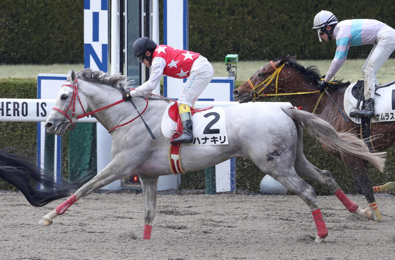 阪神7Rでハナキリに騎乗し、約1年ぶりの復帰レースを9着で終えた熊沢騎手（撮影・白石智彦）