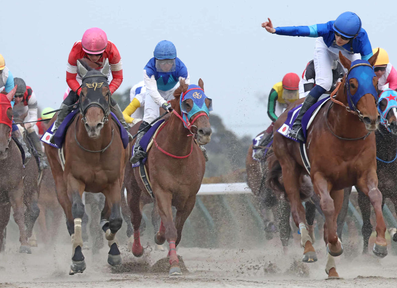 19日、フェブラリーSで2着に敗れたレッドルゼル（左）。右は勝ったレモンポップ