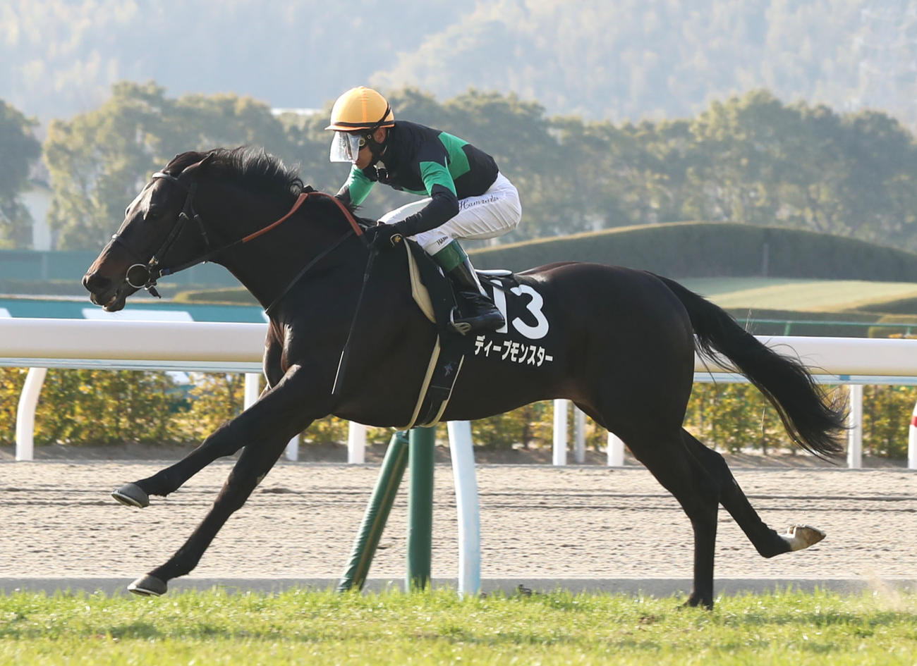 5日、関門橋Sを制したディープモンスター