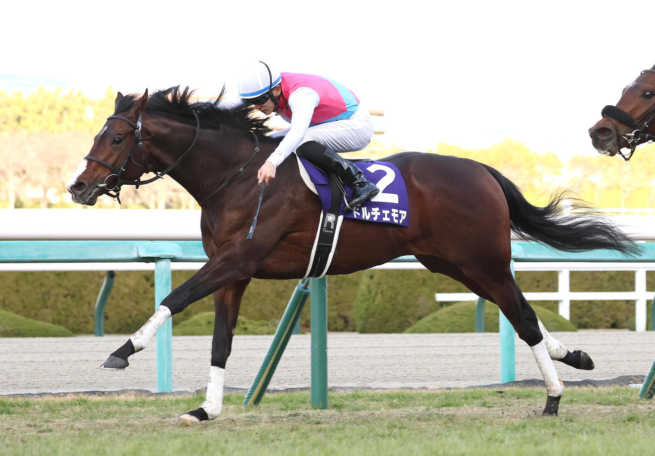 朝日杯FSを制したドルチェモア（2022年12月18日撮影）