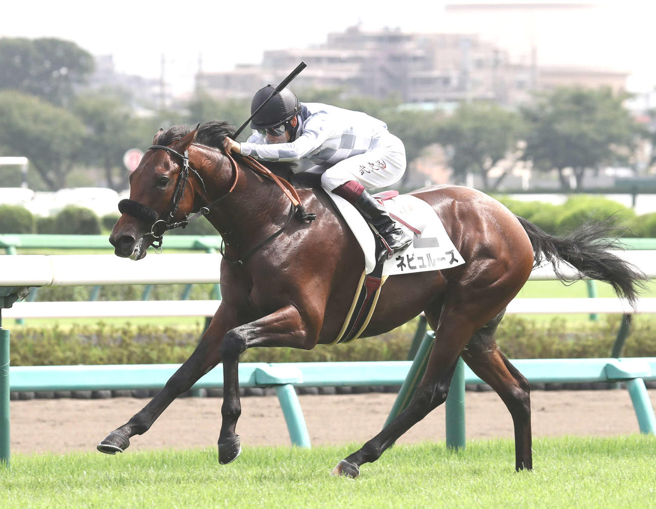 新馬戦を制したネビュルーズと横山武騎手（2022年9月19日撮影）