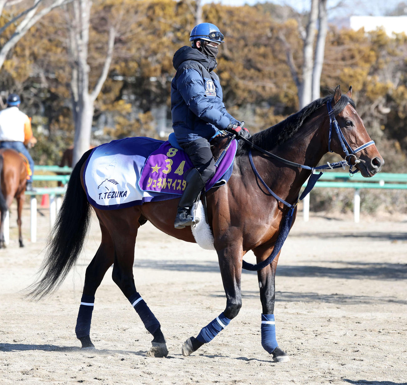 乗り運動するシュネルマイスター（撮影・鈴木正人）
