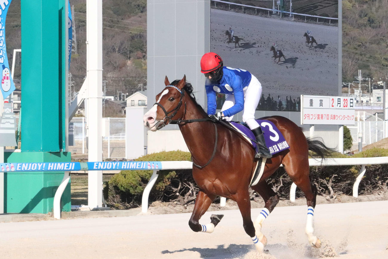 姫路10R鉢伏山特別をタイセイラファーガで逃げ切った今村聖奈騎手