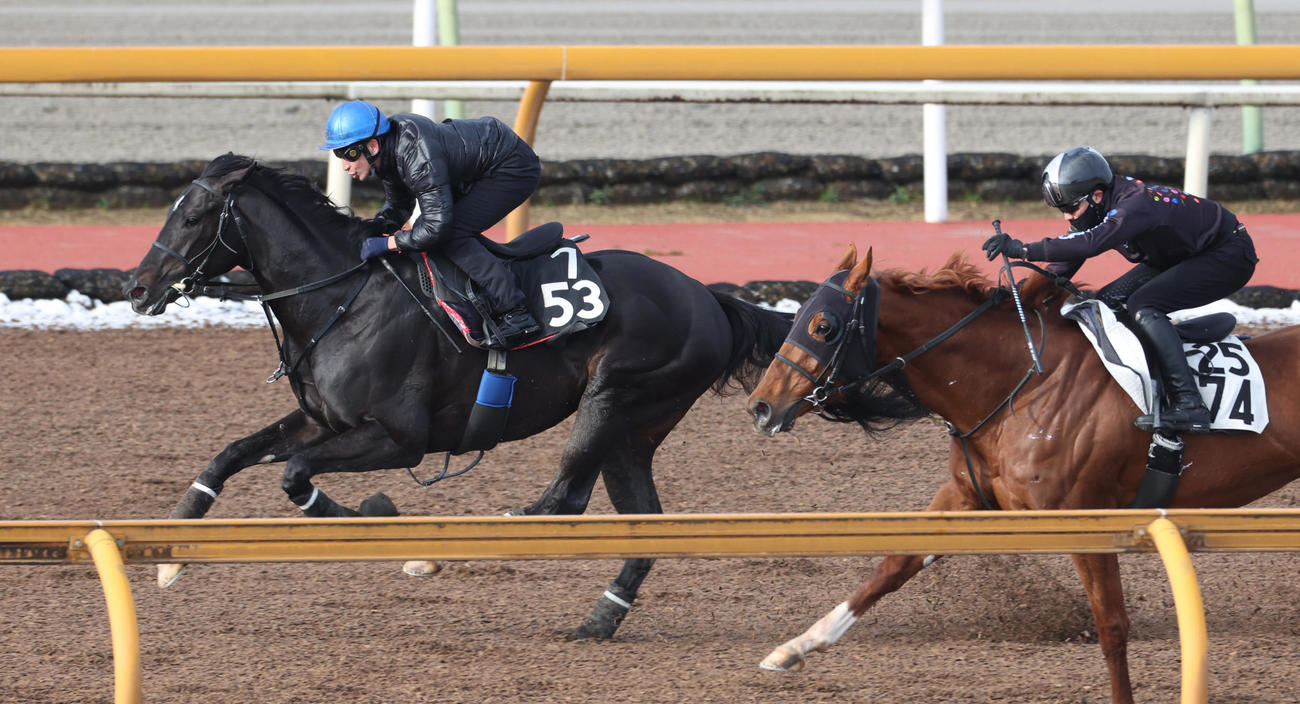横山典騎手を背にCウッドにて併せ馬で追い切るトップナイフ（左）