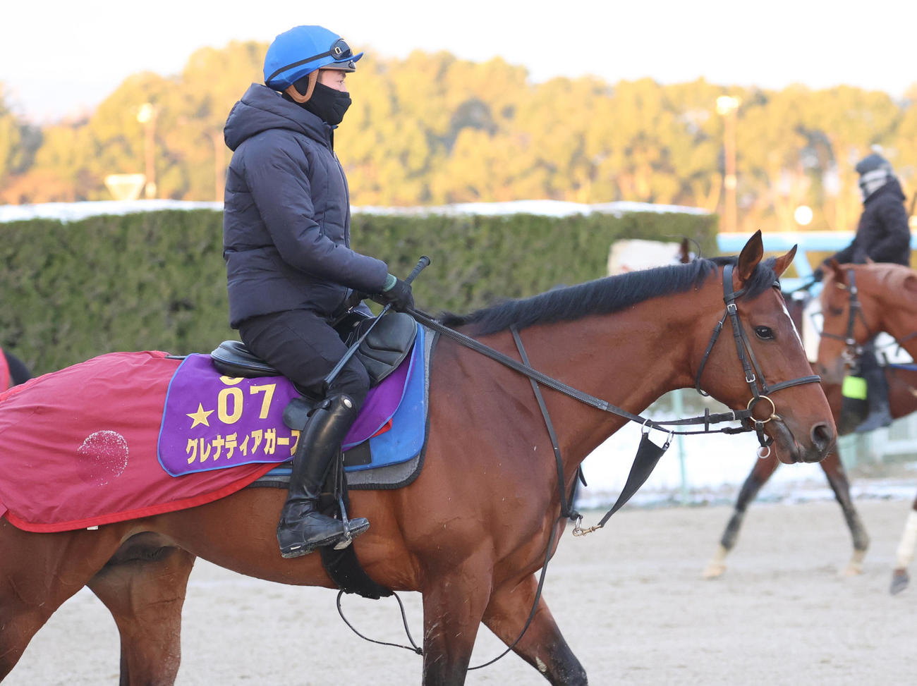 追い切り前に運動するグレナディアガーズ