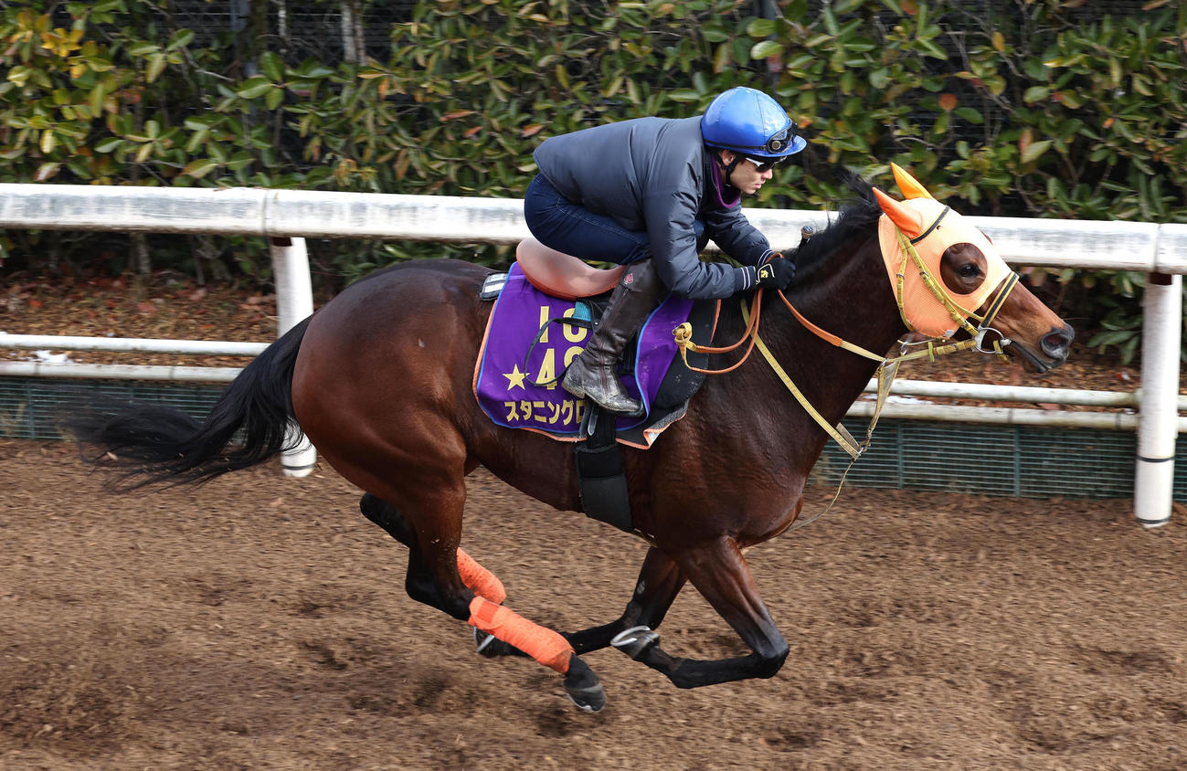 吉田隼騎手を背に坂路を単走で追い切るスタニングローズ（撮影・白石智彦）
