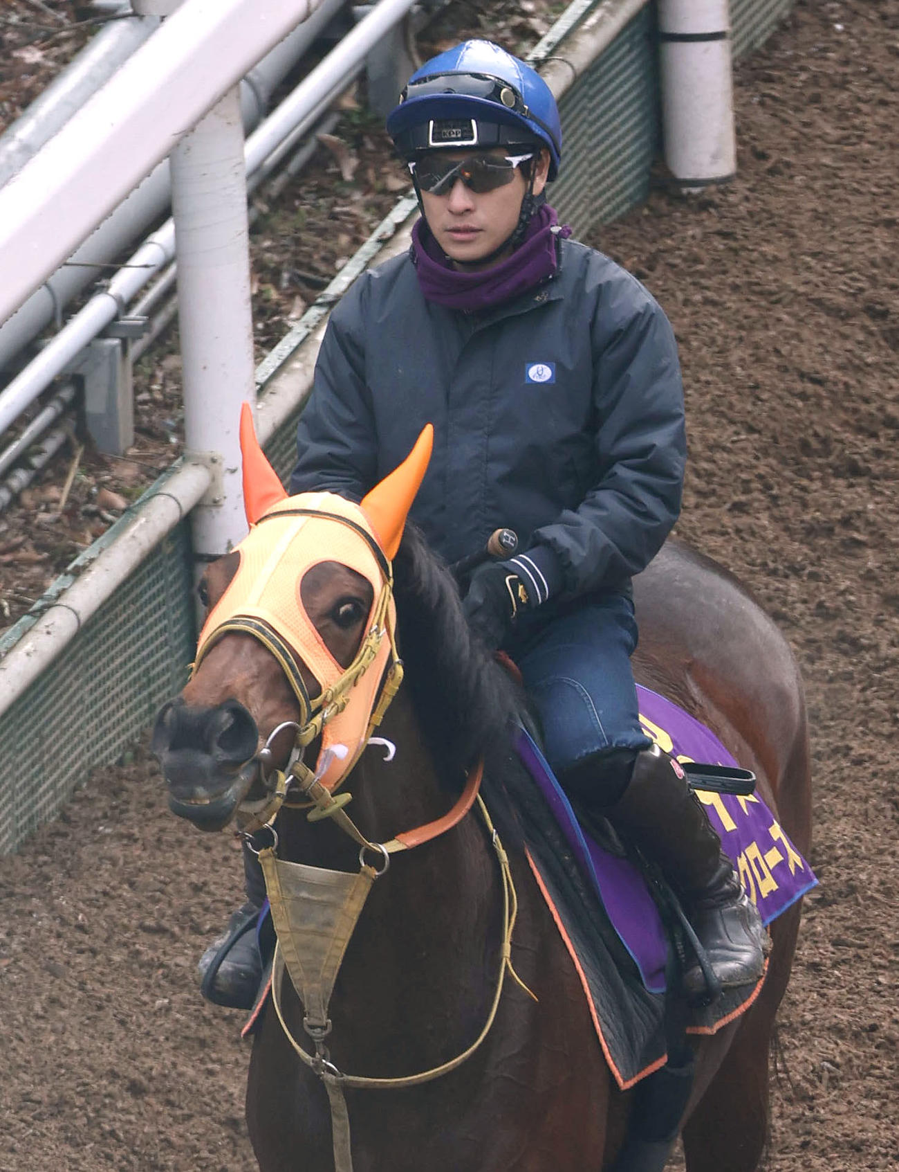 吉田隼騎手を背に逍遥馬道で運動するスタニングローズ（撮影・白石智彦）