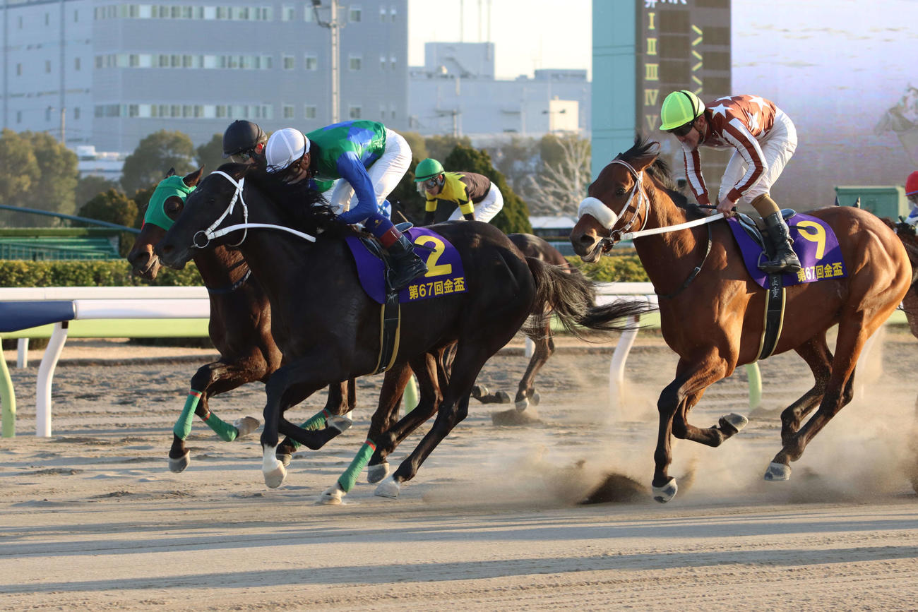 金盃を制したカイルと御神本訓史騎手（中）