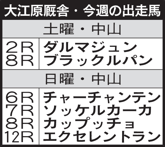 大江原厩舎・今週の出走馬