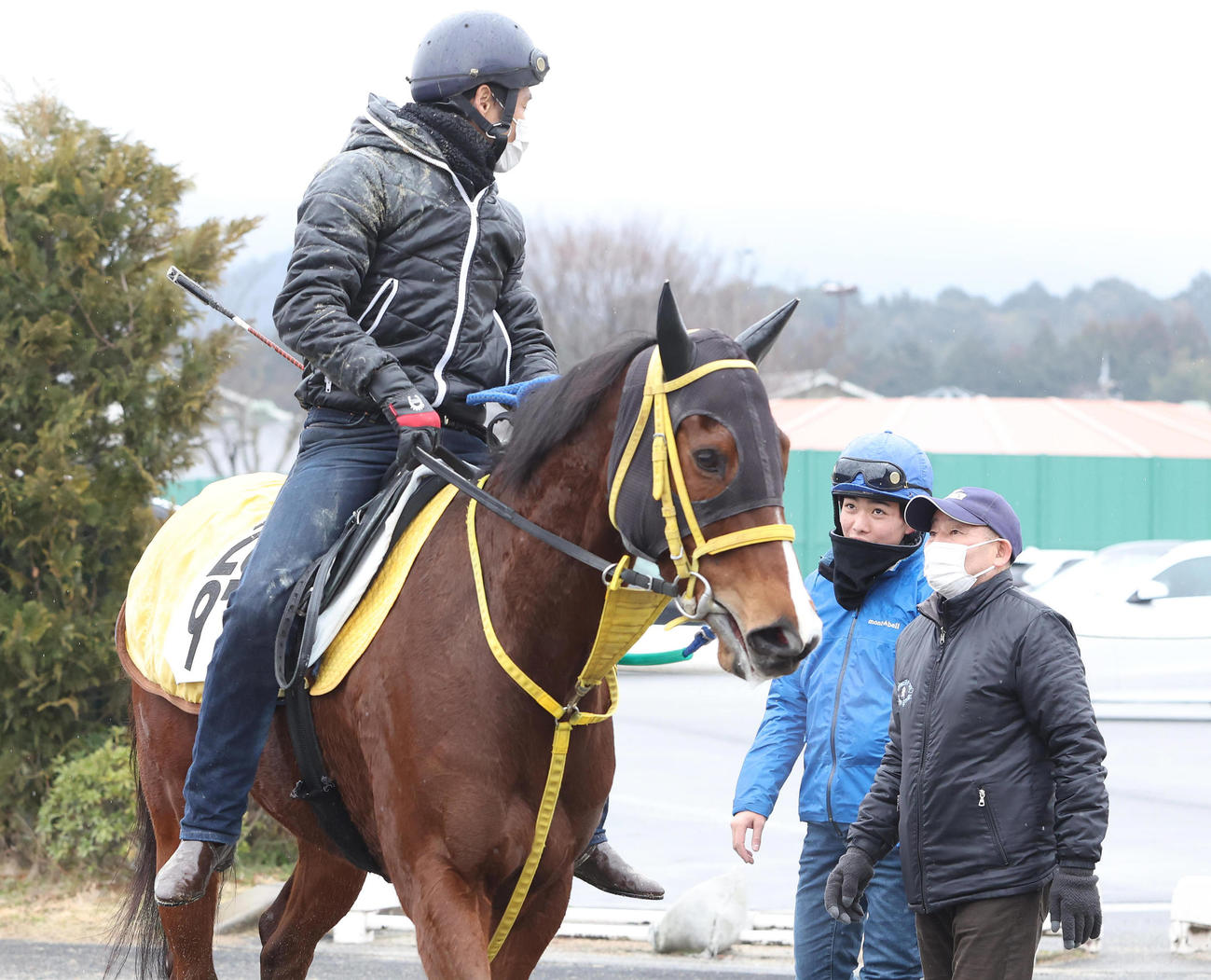 調教を終えたメイショウケイメイの様子を聞く南井師（右）（撮影・白石智彦）