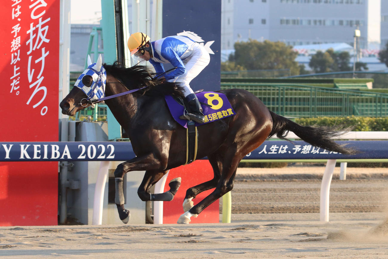 2番手から抜け出し雲取賞を制したヒーローコールと森泰斗騎手