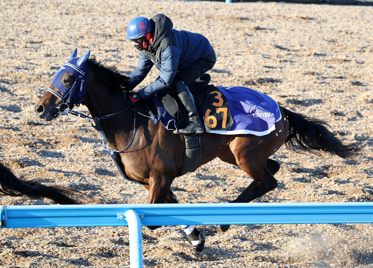 2月22日、美浦ウッドで追い切られたキングズレイン