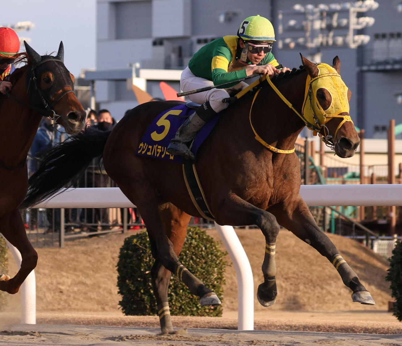 23年2月1日、川崎記念を制したウシュバテソーロ