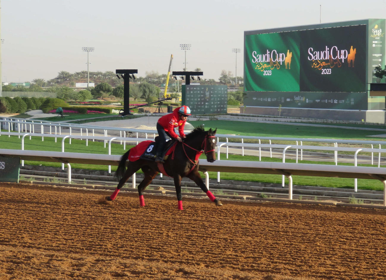 レース前日の24日にダートコースで福永騎手を背にキャンターを行うエコロアレス
