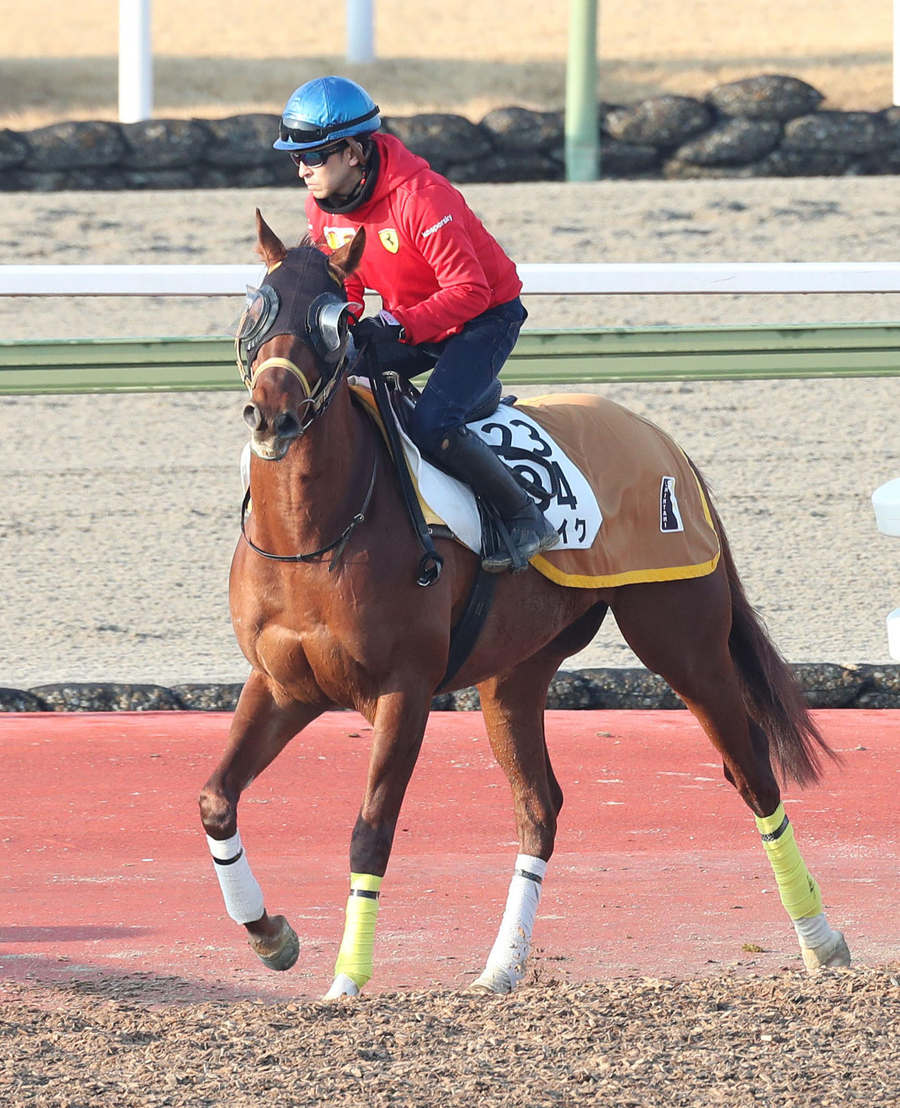福永祐一騎手を背に馬場入りするリメイク（2023年2月8日撮影）
