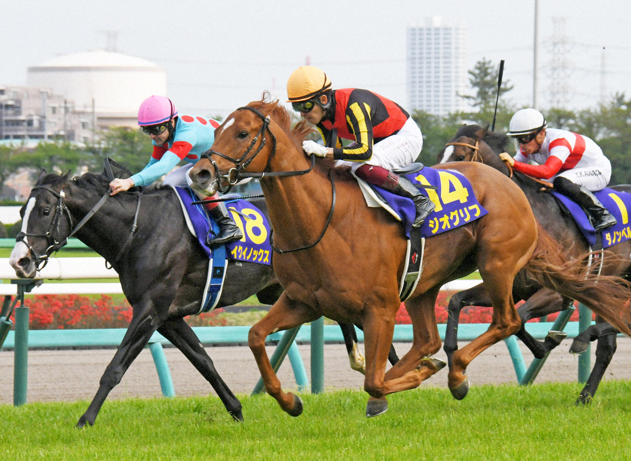 皐月賞を制したジオグリフ（2022年4月17日撮影）