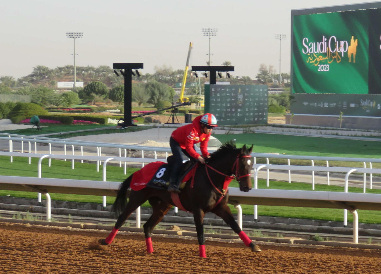 レース前日の24日にダートコースで福永騎手を背にキャンターを行うエコロアレス