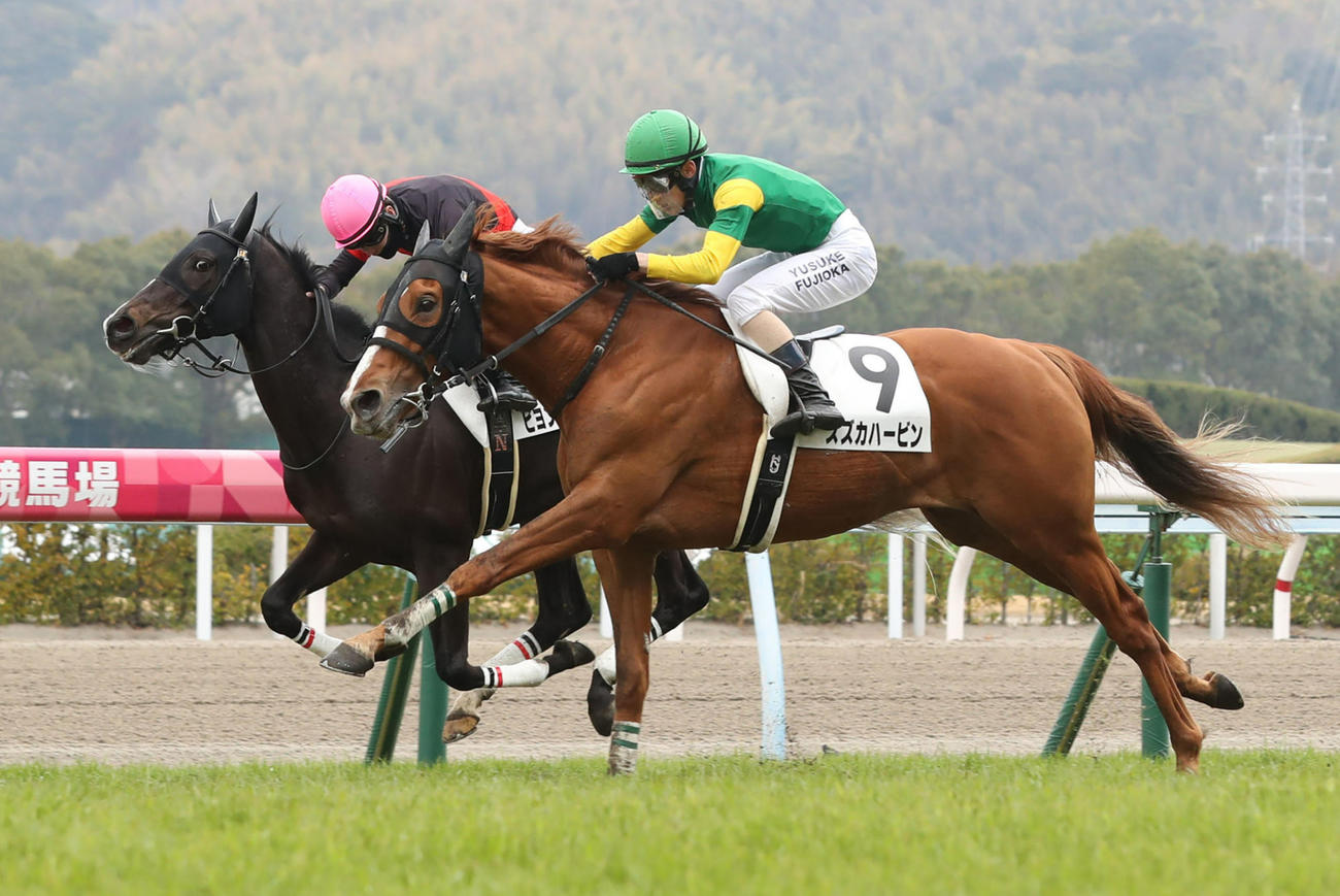 小倉6R・3歳未勝利で1着のスズカハービンと藤岡佑介騎手（撮影・屋方直哉）