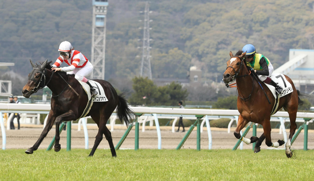 小倉5R・3歳未勝利で1着のコイニョウボウと永島まなみ騎手（左）（撮影・屋方直哉）