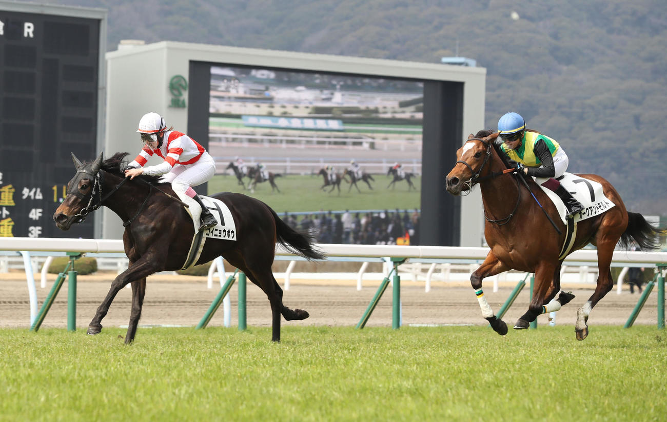 小倉5R・3歳未勝利で1着のコイニョウボウと永島まなみ騎手（左）（撮影・屋方直哉）