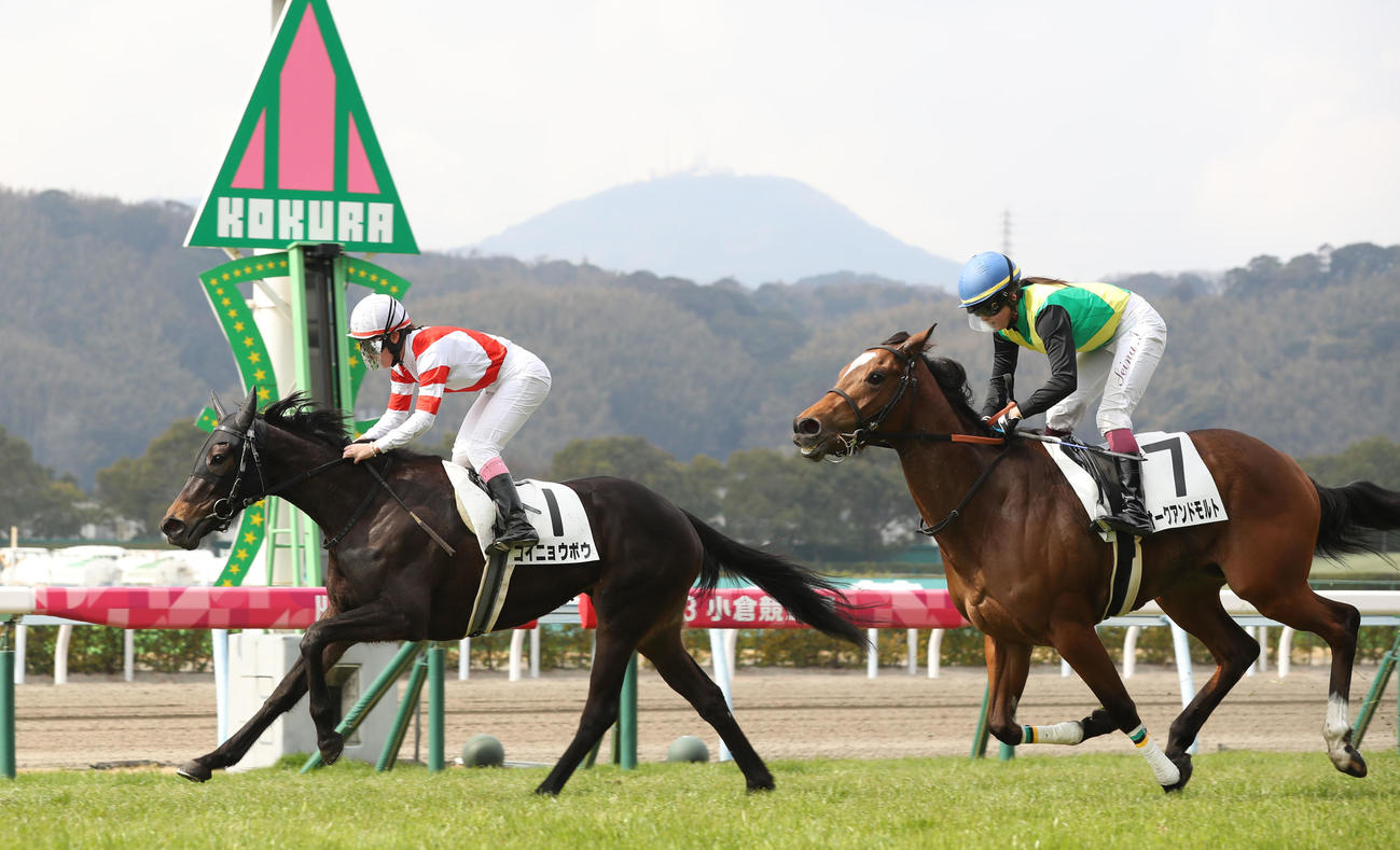 小倉5R・3歳未勝利で1着のコイニョウボウと永島まなみ騎手（左）（撮影・屋方直哉）