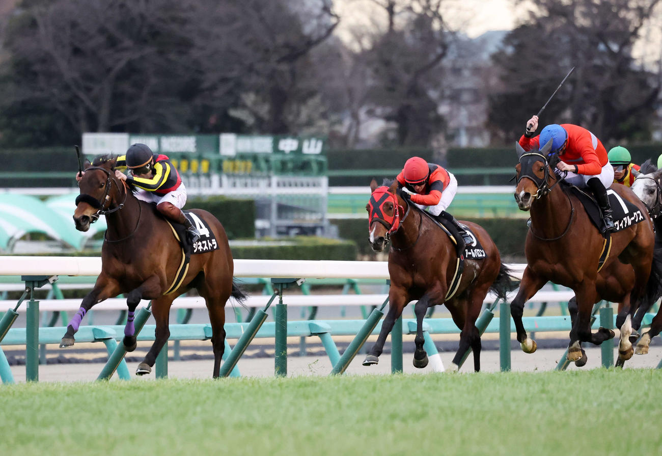 幕張Sを制したジネストラ（左）と三浦皇成騎手（撮影・鈴木正人）