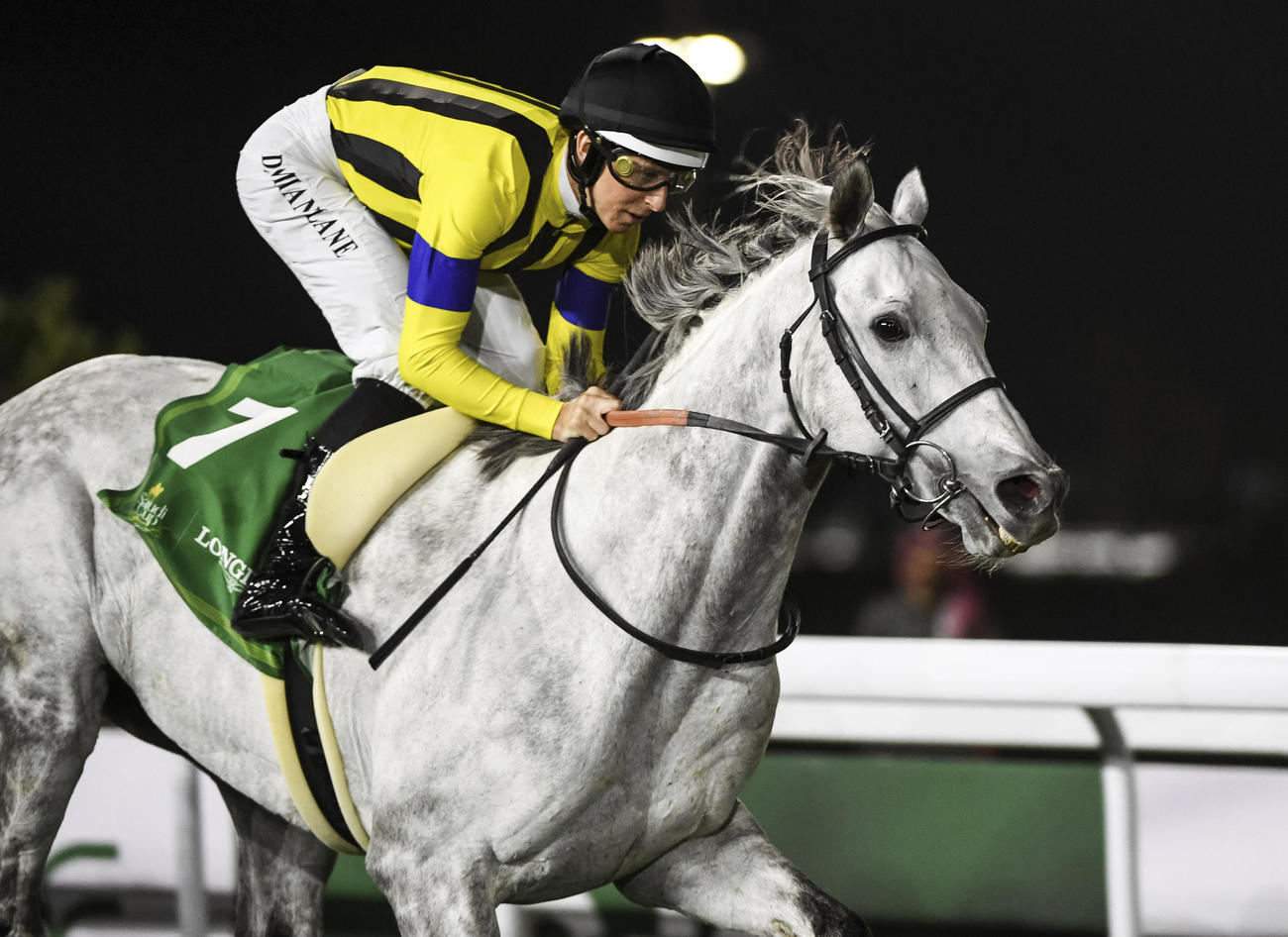 レッドシーターフHを制したシルヴァーソニックとレーン騎手（AP)