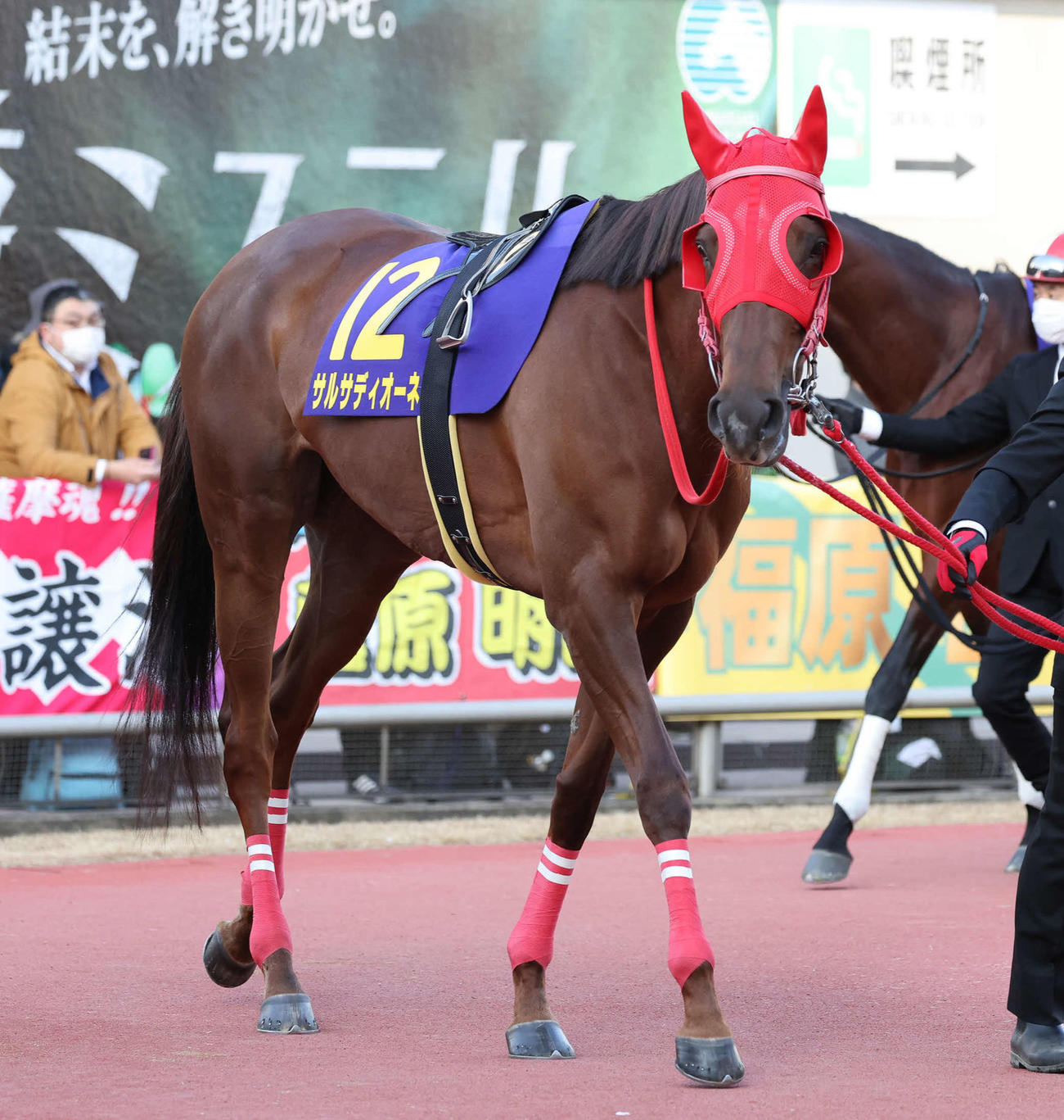 伝統の牝馬戦がサルサディオーネの引退レースとなる