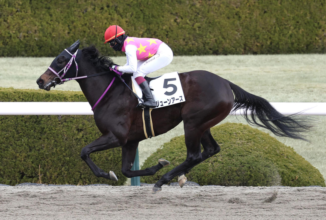 阪神1R、今村聖奈騎手を背に3歳未勝利を勝ち上がったジューンアース（撮影・白石智彦）
