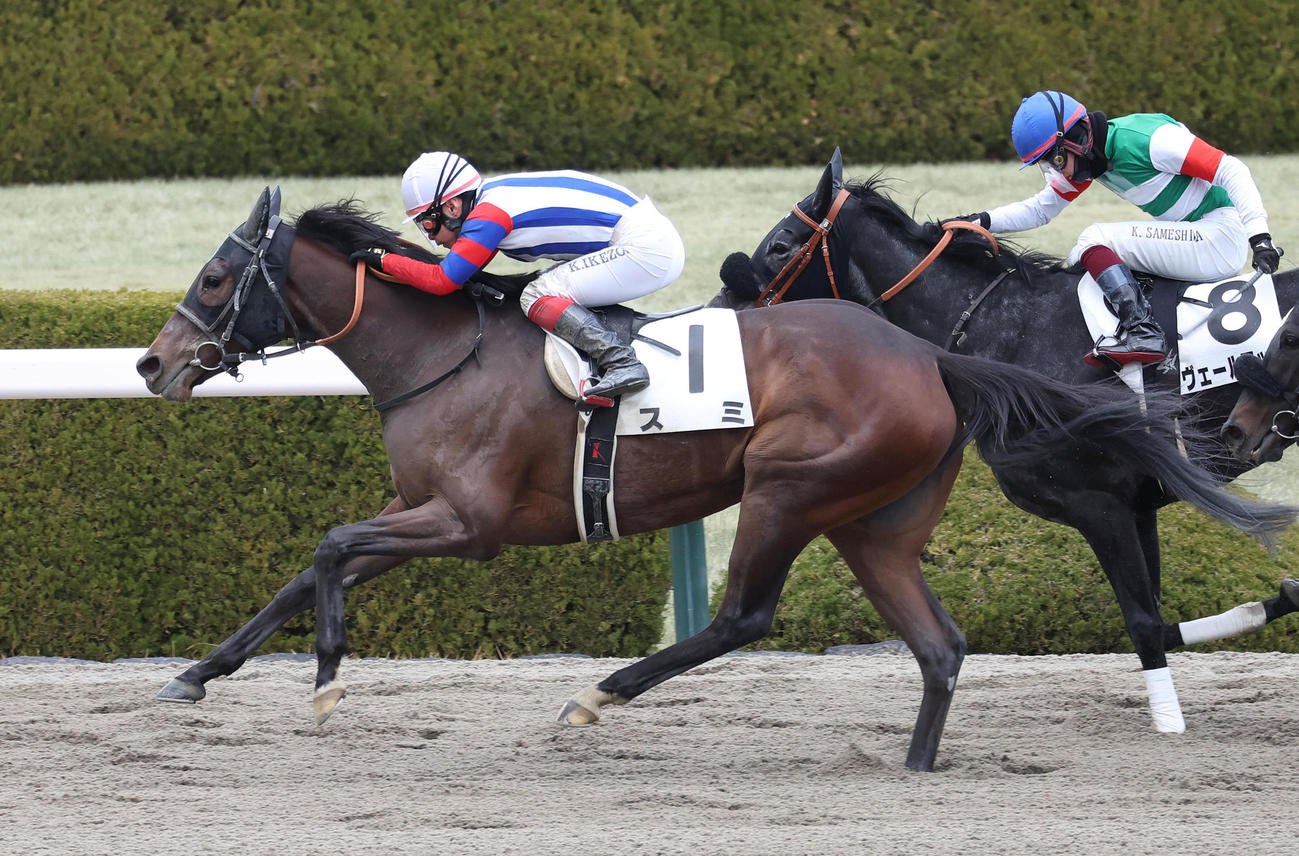 スミで阪神8Rを制し、ケガからの復帰後初勝利を挙げた池添騎手（撮影・白石智彦）