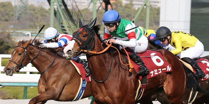 直線で抜け出しチューリップ賞を快勝したナミュール（中央）。左は2着ピンハイ＝2022年3月5日、阪神競馬場