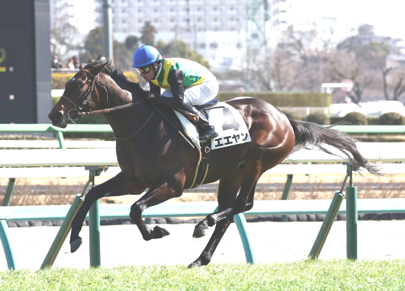 中山7R、3歳1勝クラスを制したエエヤンとM・デムーロ騎手（撮影・鈴木正人）