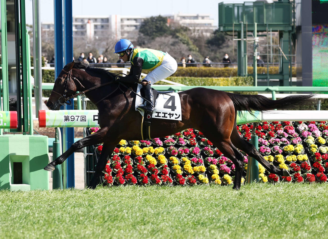 中山7R、3歳1勝クラスを制したエエヤンとM・デムーロ騎手（撮影・鈴木正人）