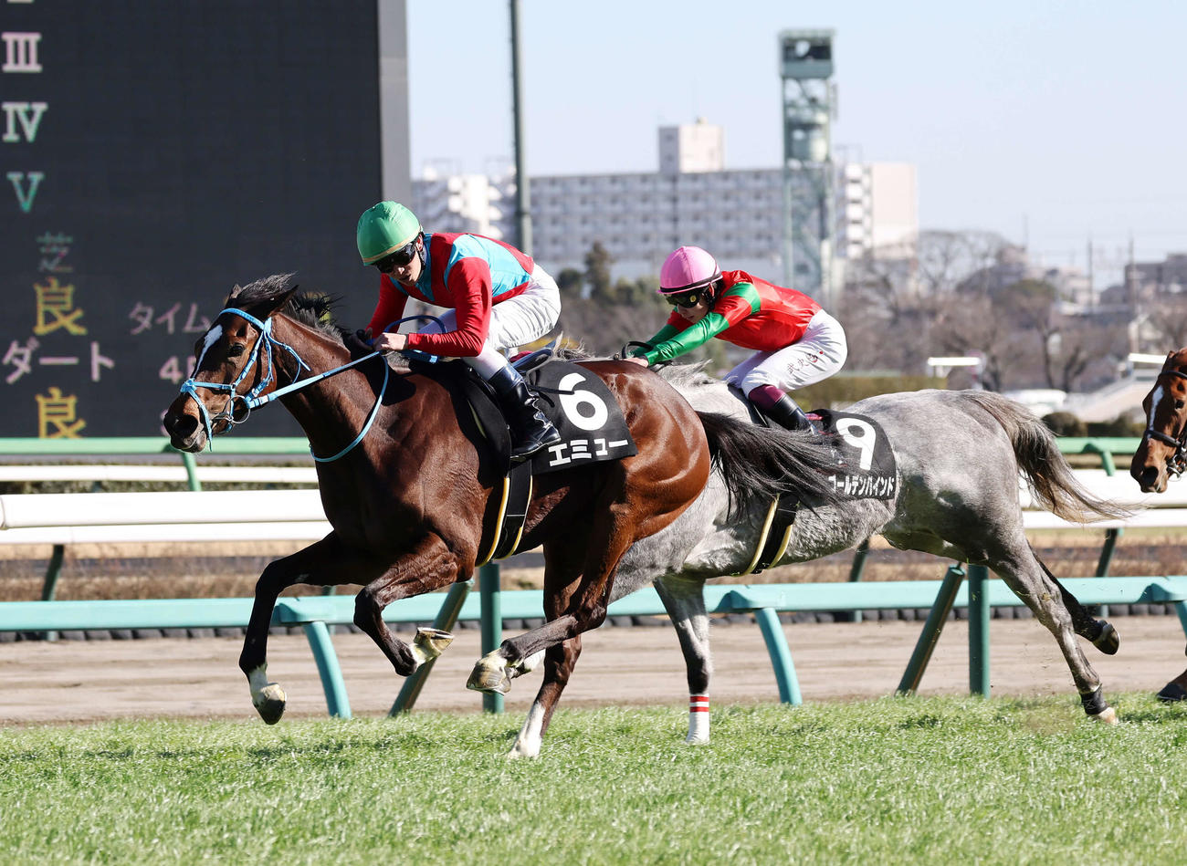 デイジー賞を制したエミュー（左）と菅原明良騎手（撮影・鈴木正人）