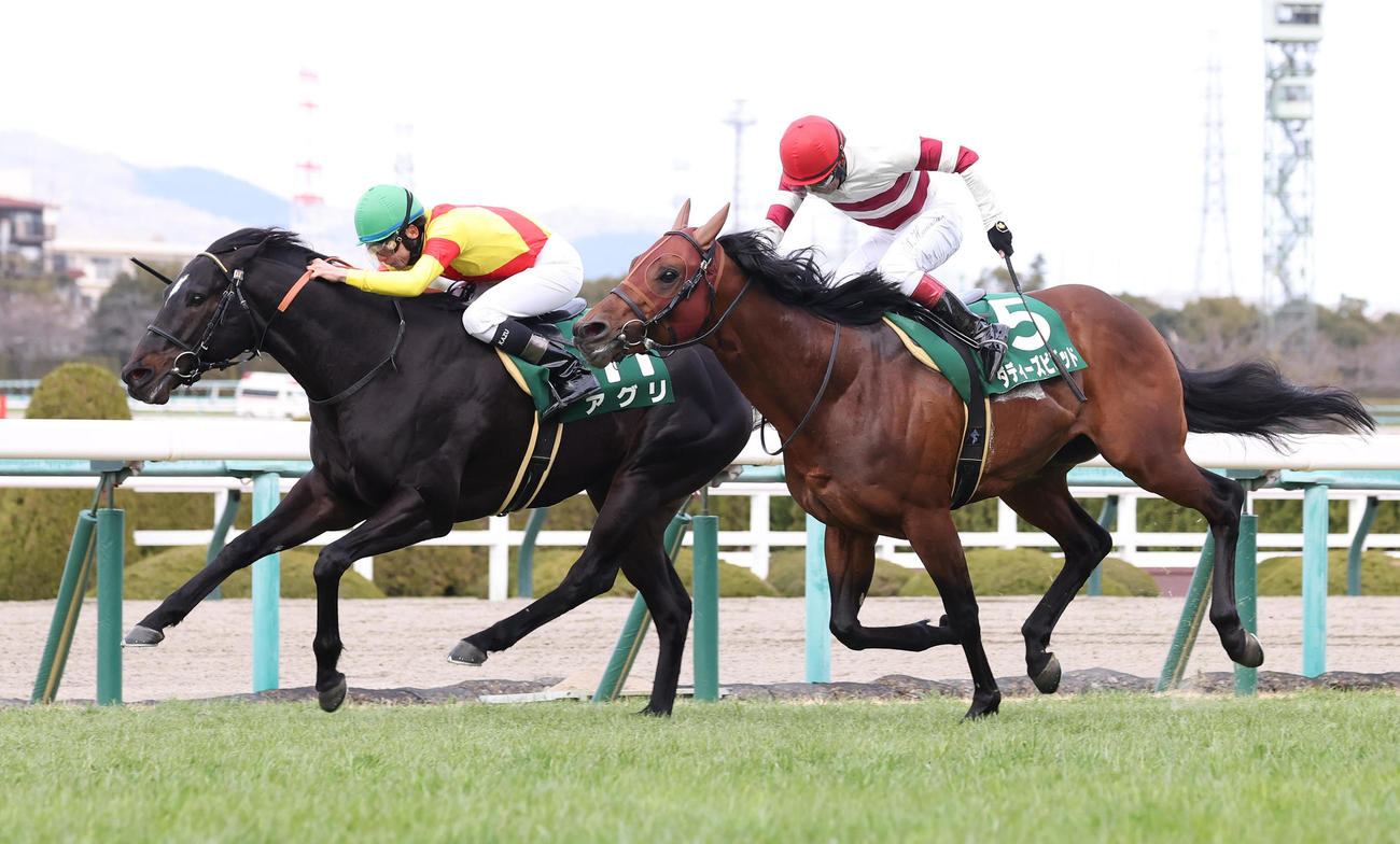 4連勝で阪急杯を制したアグリ（左）（撮影・白石智彦）
