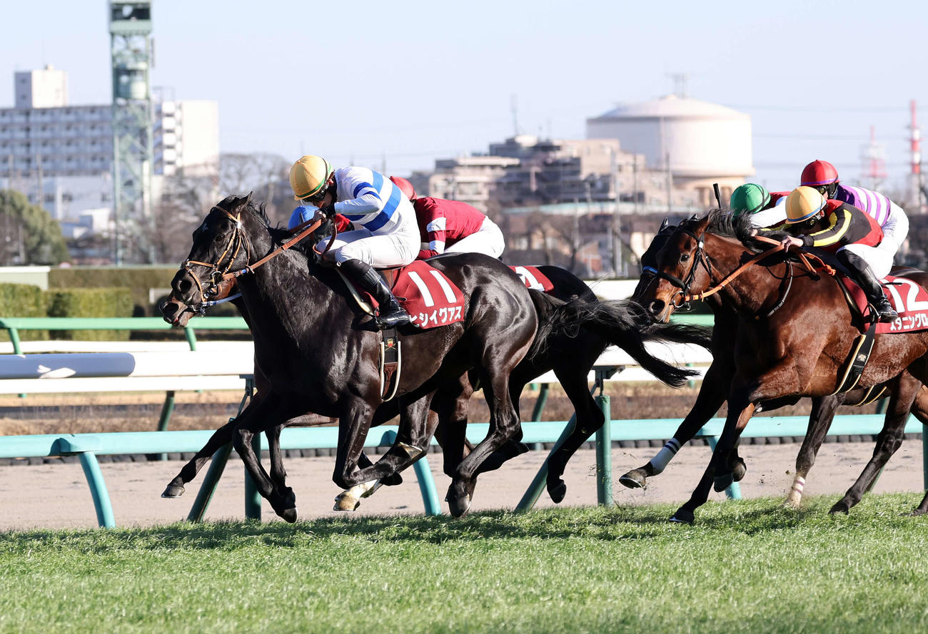 中山記念を制したヒシイグアス（左）と松山弘平騎手（撮影・鈴木正人）