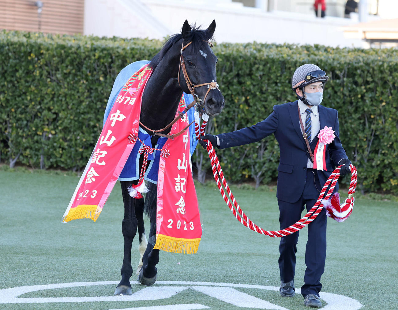 中山記念を制したヒシイグアス（撮影・鈴木正人）