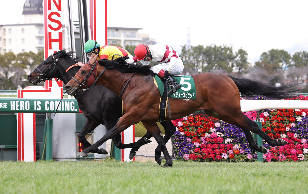 4連勝で阪急杯を制したアグリ（左）（撮影・白石智彦）
