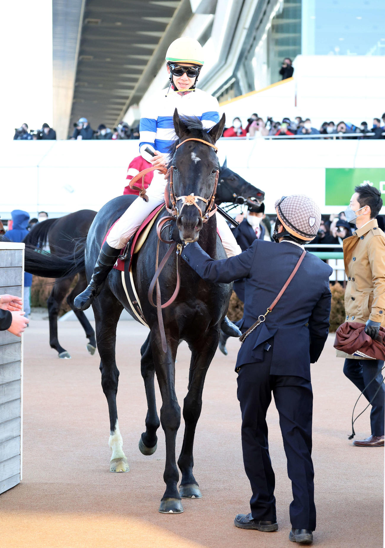 中山記念を制したヒシイグアスと松山弘平騎手（撮影・鈴木正人）