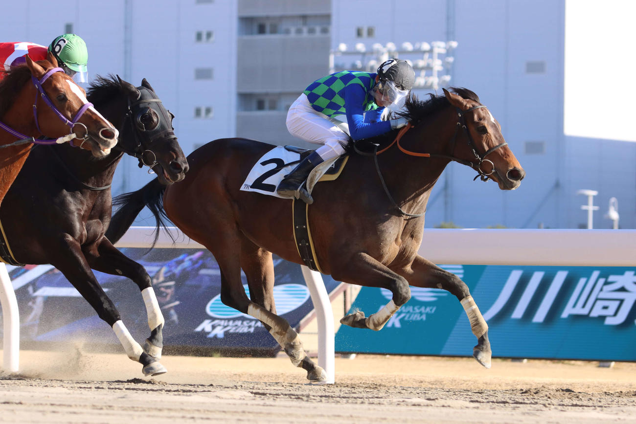 直線で抜け出しアンタレス特別を制したフワトロ。騎乗した森泰斗騎手は地方競馬通算3900勝を達成