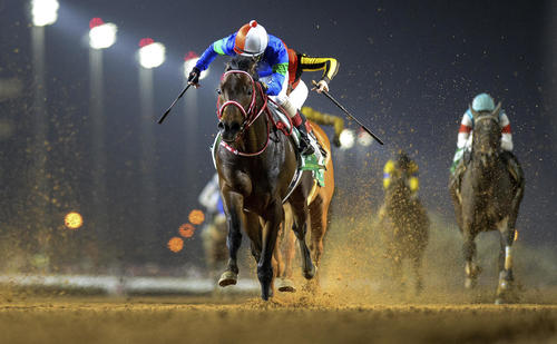 サウジCを制したパンサラッサ（AP)