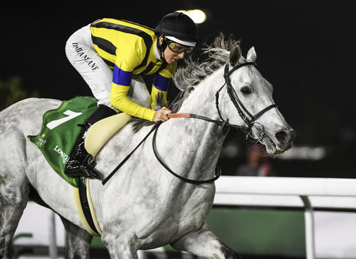 レッドシーターフHを制したシルヴァーソニックとレーン騎手（AP)
