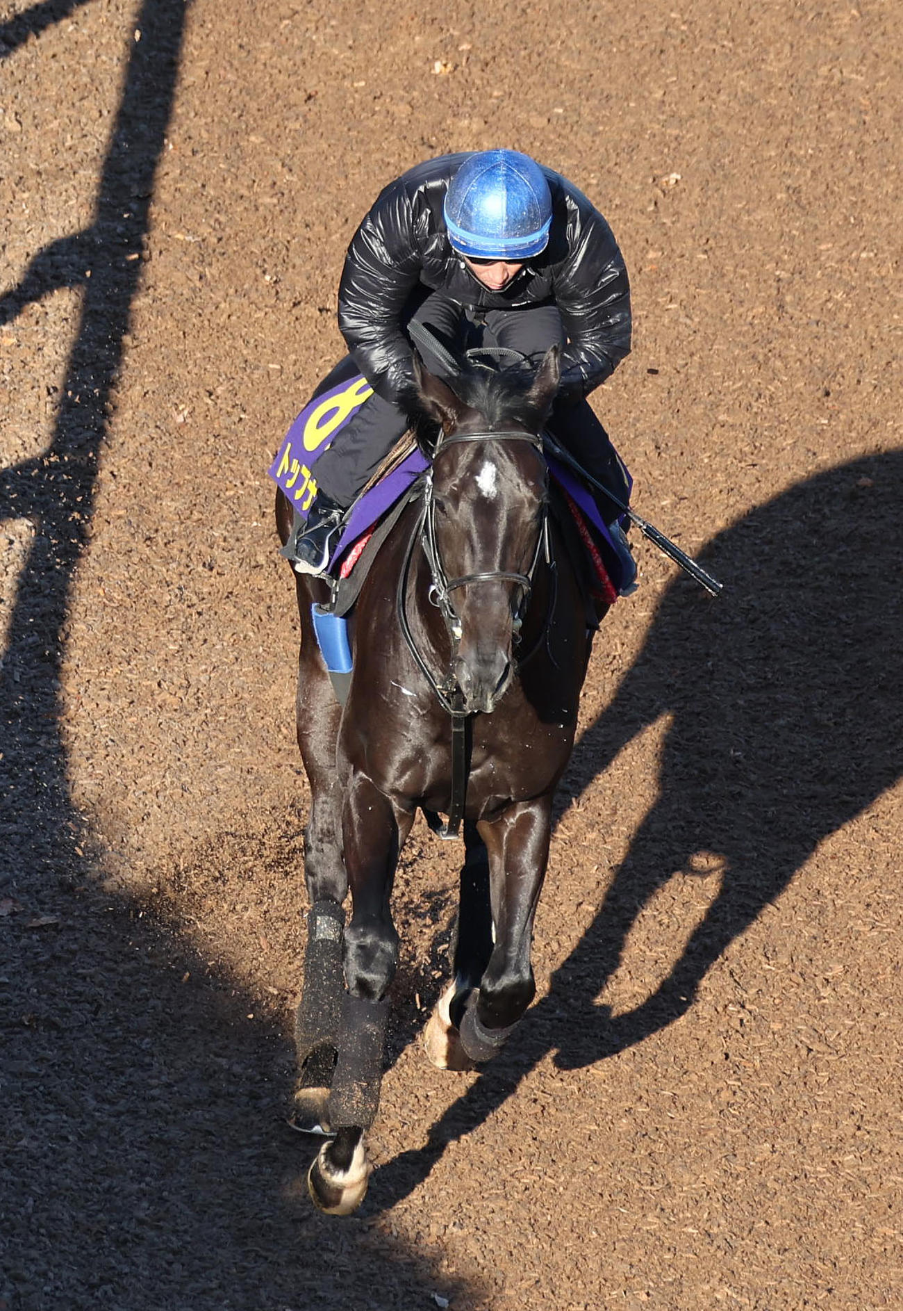 横山典弘騎手を背に坂路でキャンター調整するトップナイフ（2022年12月撮影）