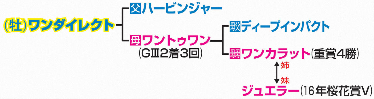 ワンダイレクトの一族血統表
