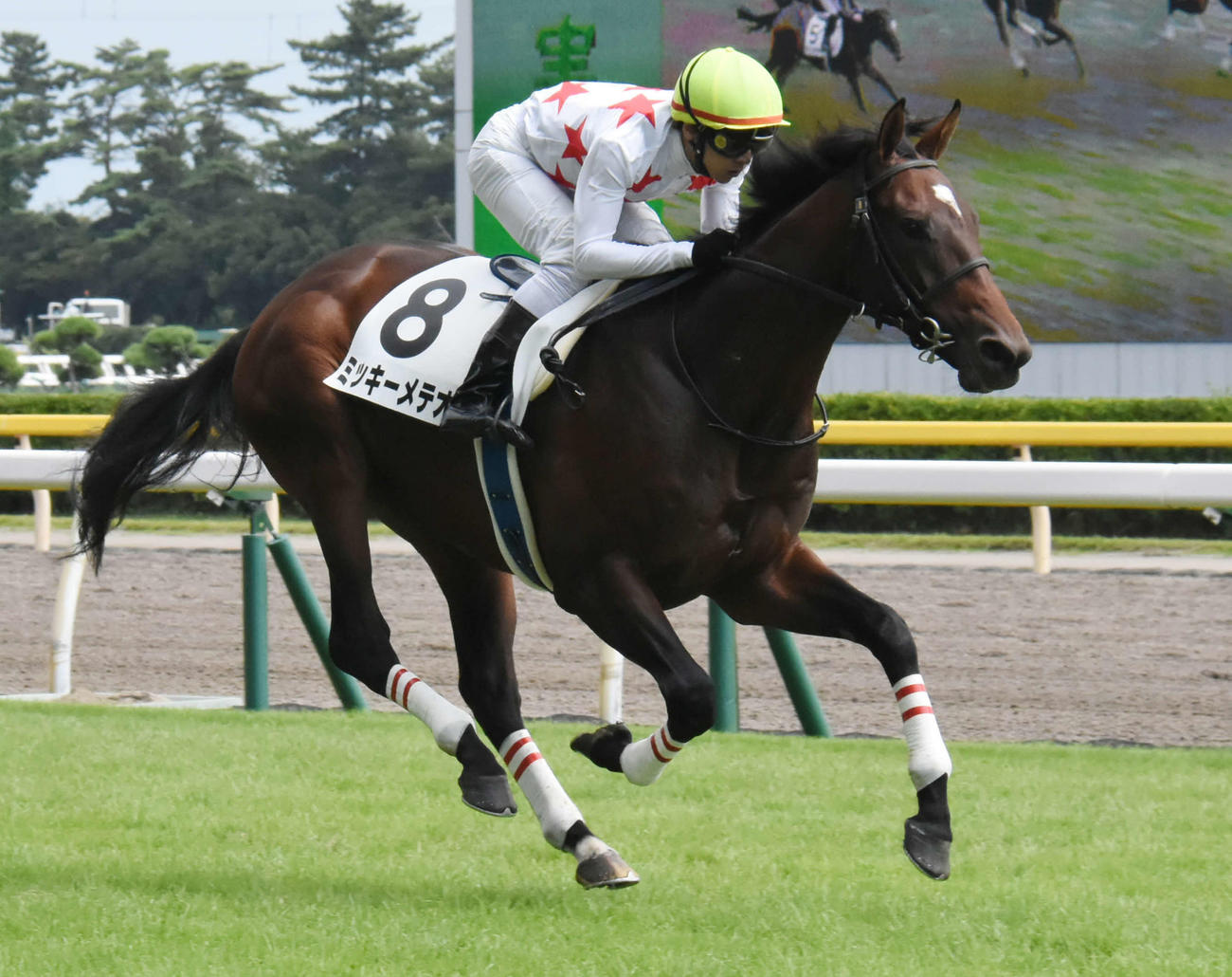 ミッキーメテオ（2019年8月31日撮影）