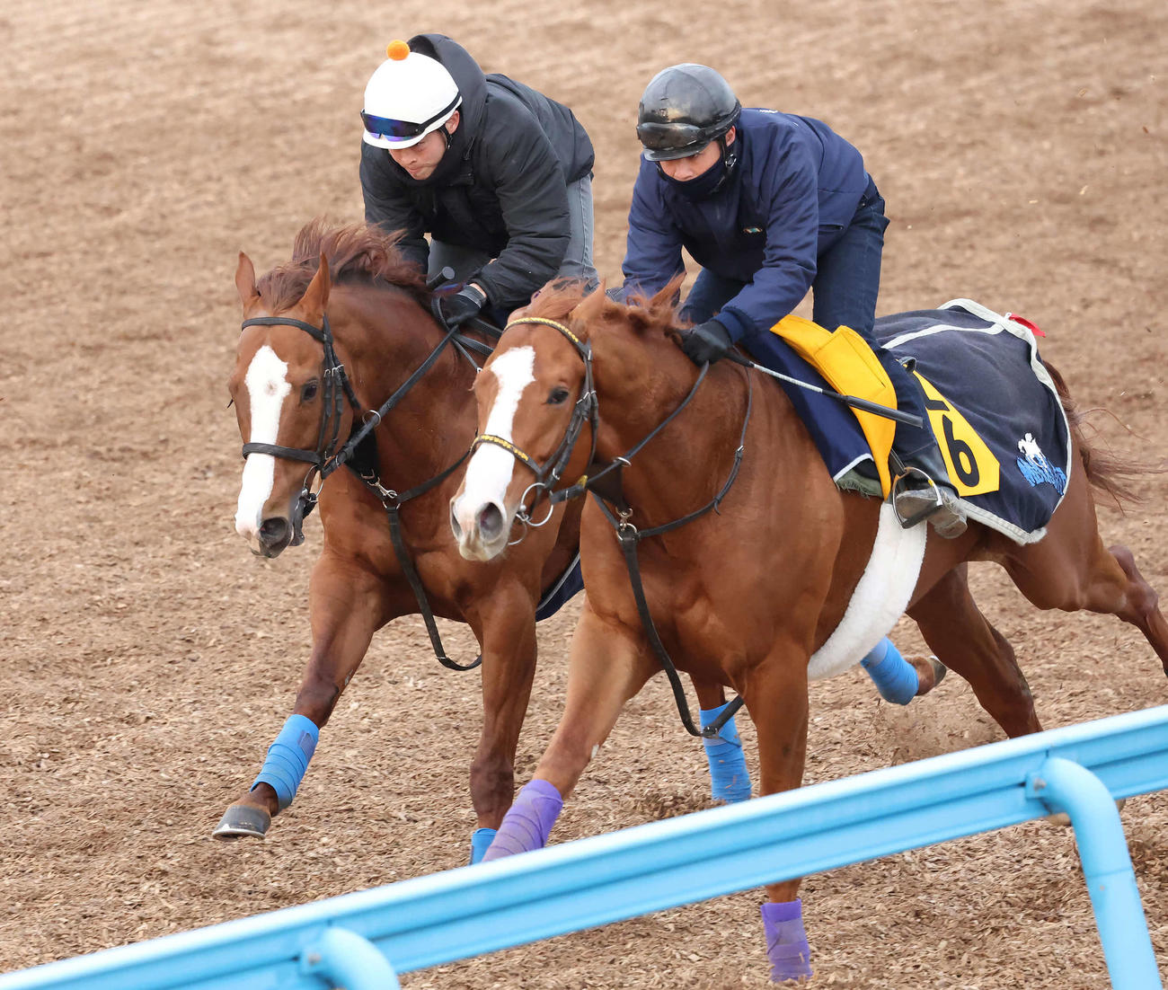 ナランフレグ（左）は丸田騎手を背に美浦ウッドを併せ馬で追い切られた（撮影・丹羽敏通）