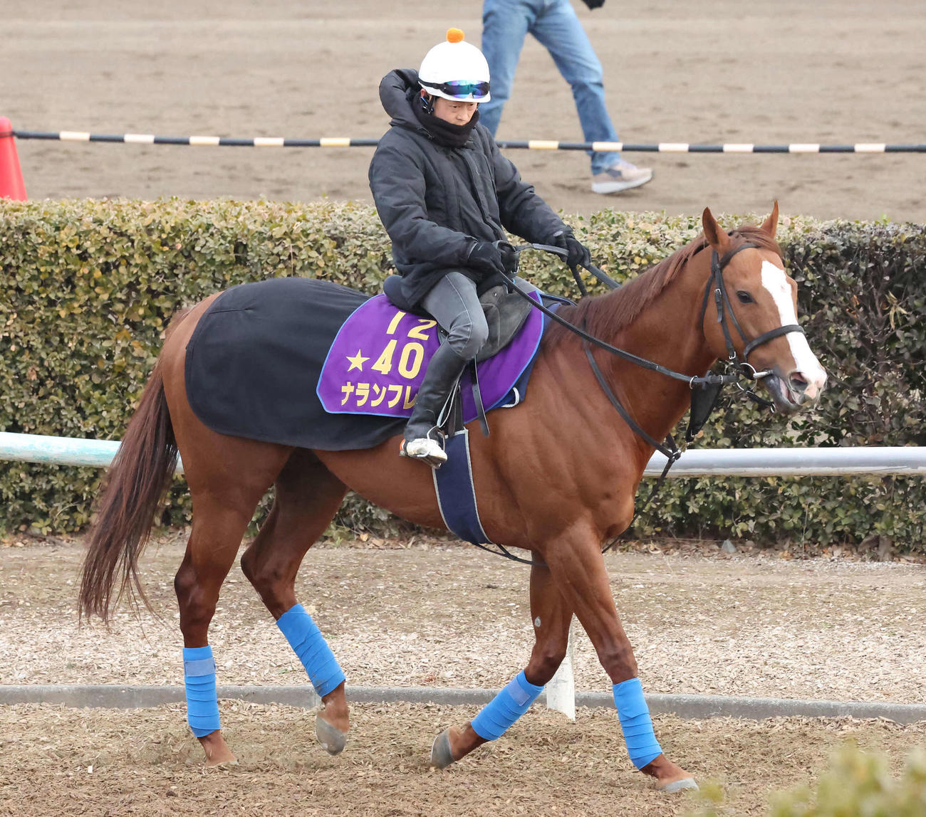 馬場へ向かうナランフレグと丸田騎手（撮影・丹羽敏通）