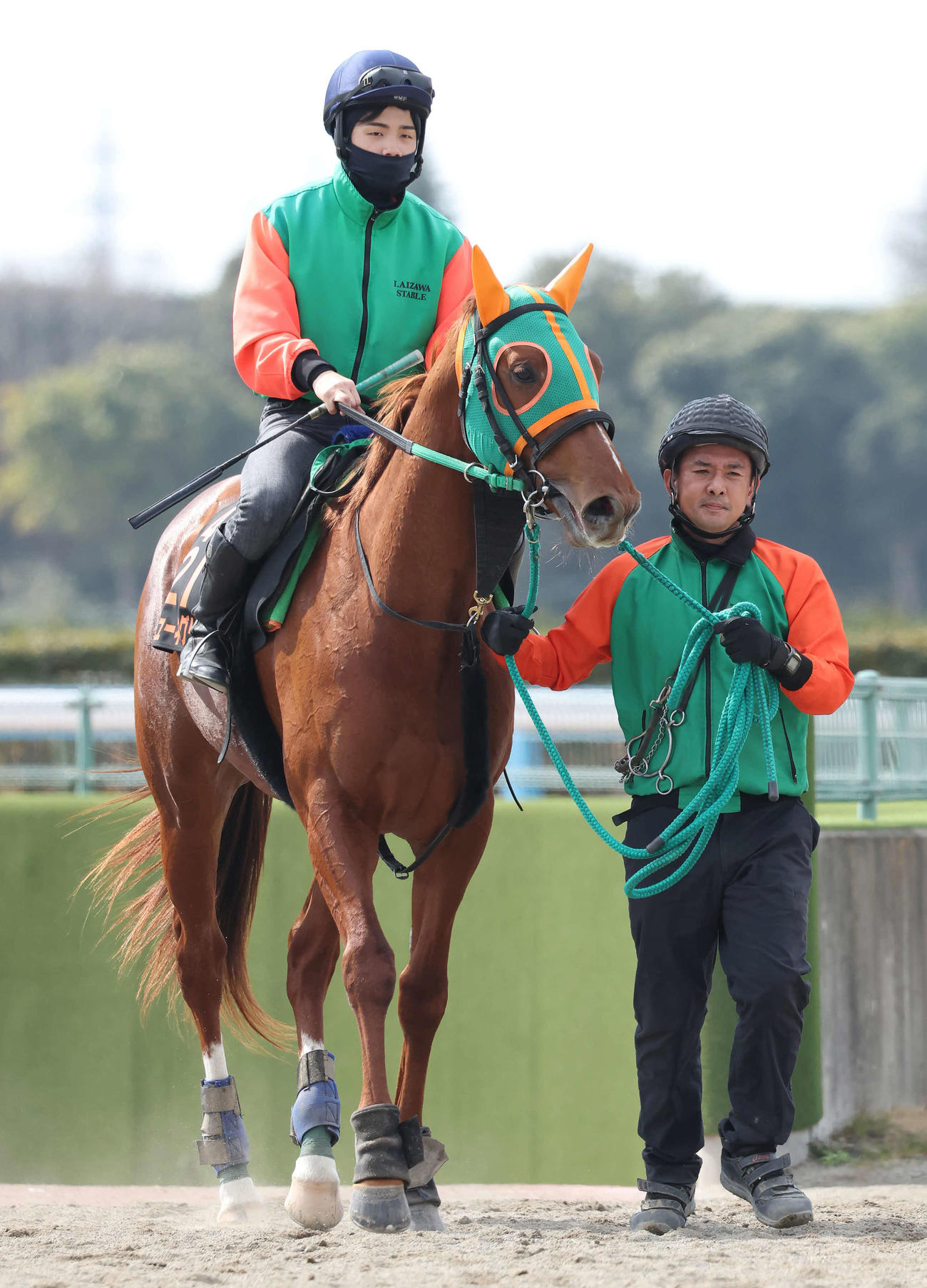 調教を終えて馬場を出るグリューネグリーン（撮影・丹羽敏通）