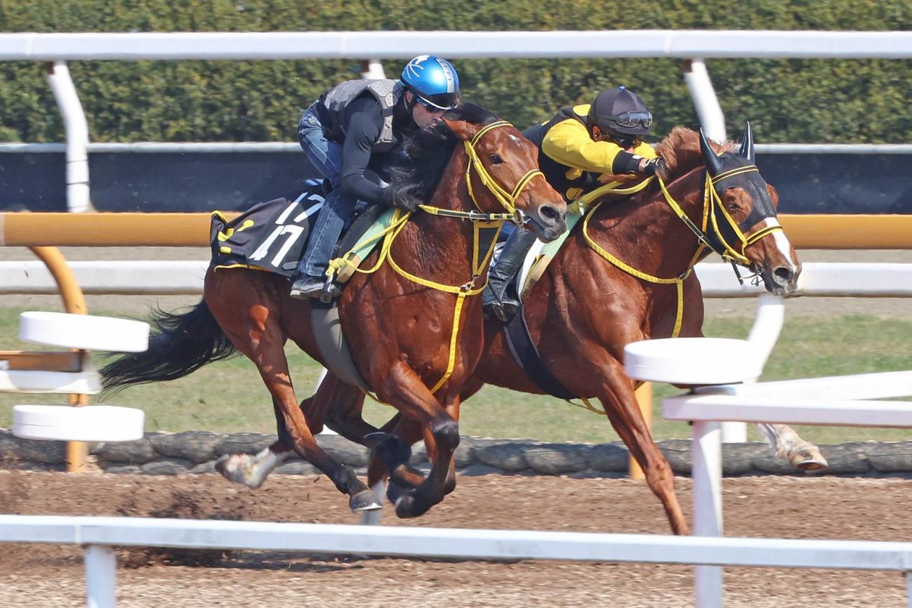 ルメール騎手が騎乗し、Cウッドを併せ馬で仕上げられたワンダイレクト（左）