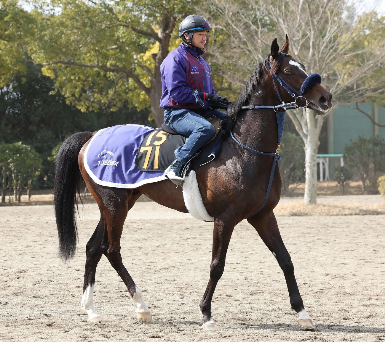 調教を終えて馬場を出るレヴォルタード（撮影・丹羽敏通）
